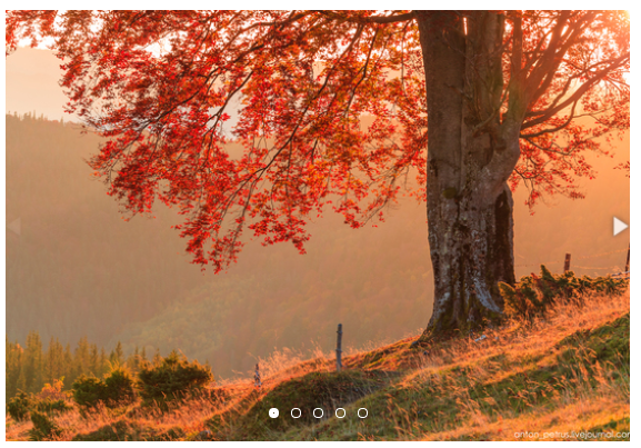 Хороший кадр в пейзажной съемке - Петрусь (2016)_0.png